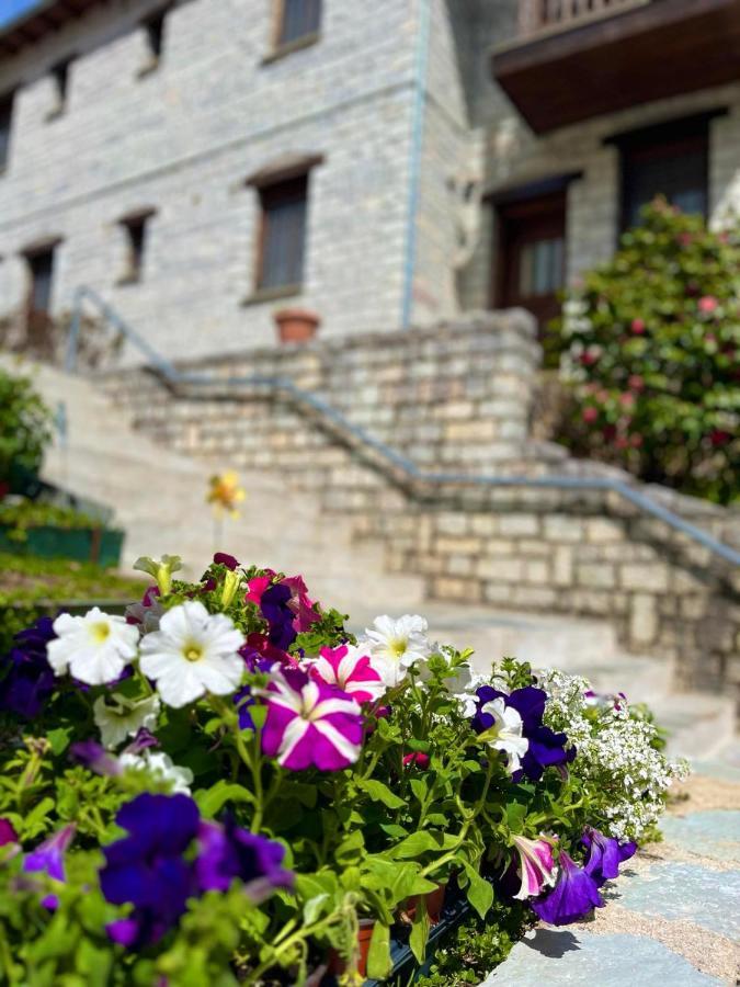 Giagia Evgenia Hotel Vitsa Exterior foto